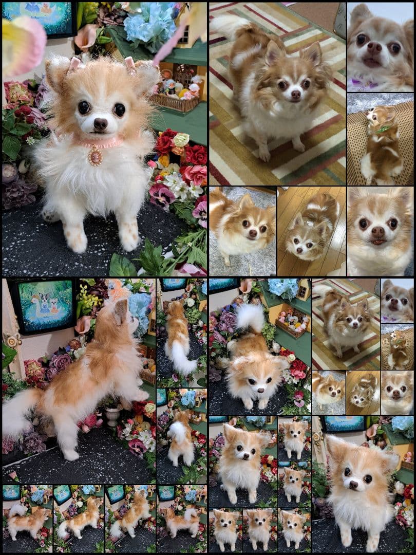 うちの子オーダー受付中♥️ チワワ　リアル　実物大　ぬいぐるみ　カズコオガワ