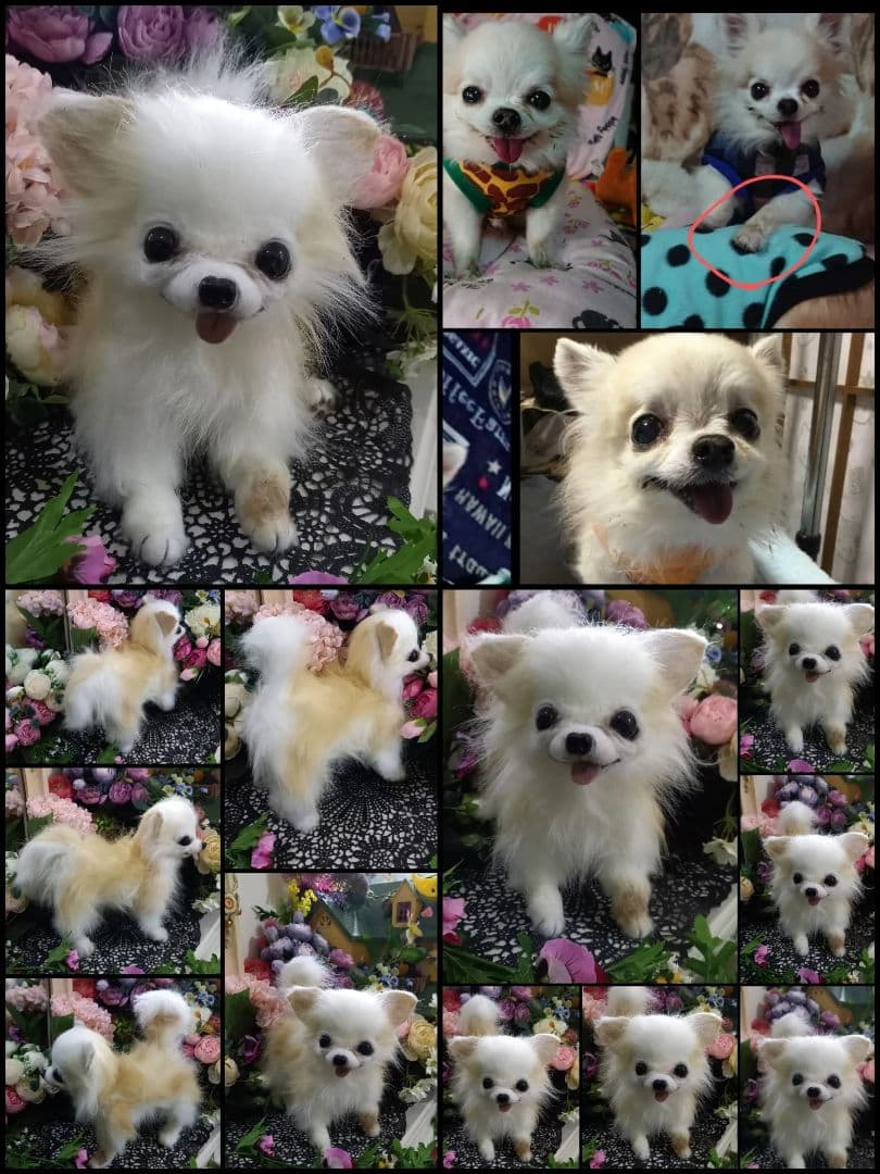 うちの子オーダー受付中♥️ チワワ　リアル　実物大　ぬいぐるみ　カズコオガワ