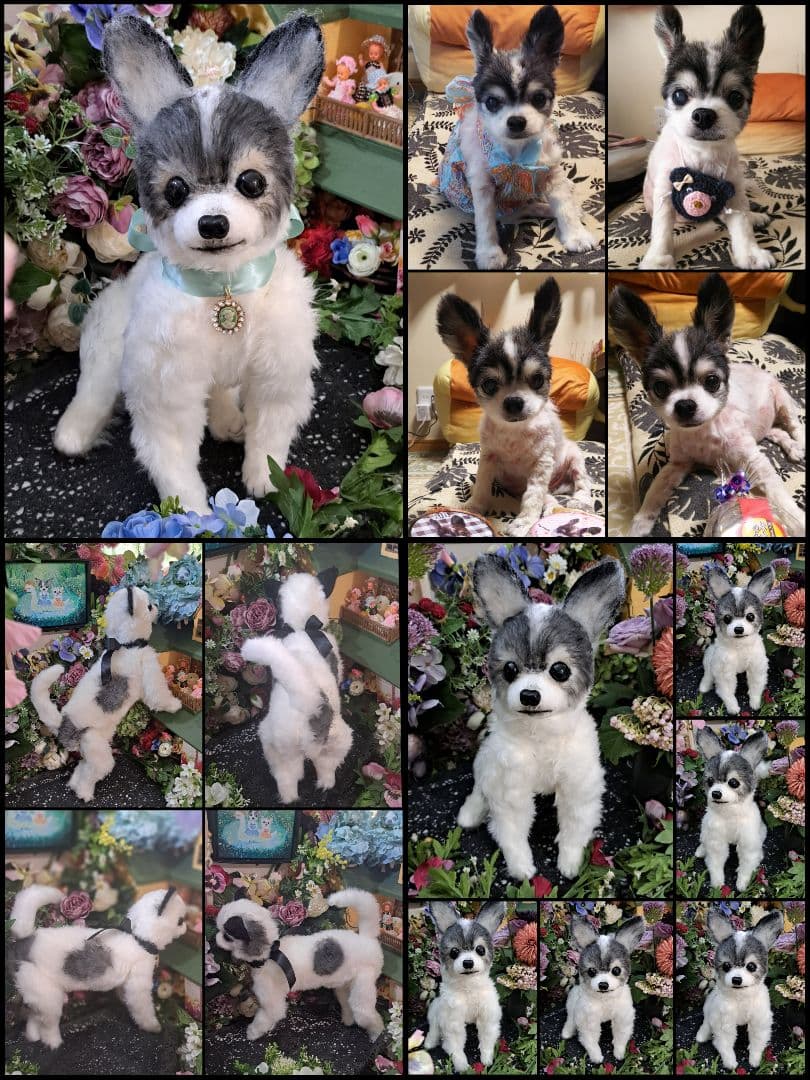 うちの子オーダー受付中♥️ チワワ　リアル　実物大　ぬいぐるみ　カズコオガワ