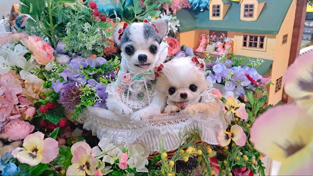 うちの子オーダー受付中♥️ チワワ　リアル　実物大　ぬいぐるみ　カズコオガワ