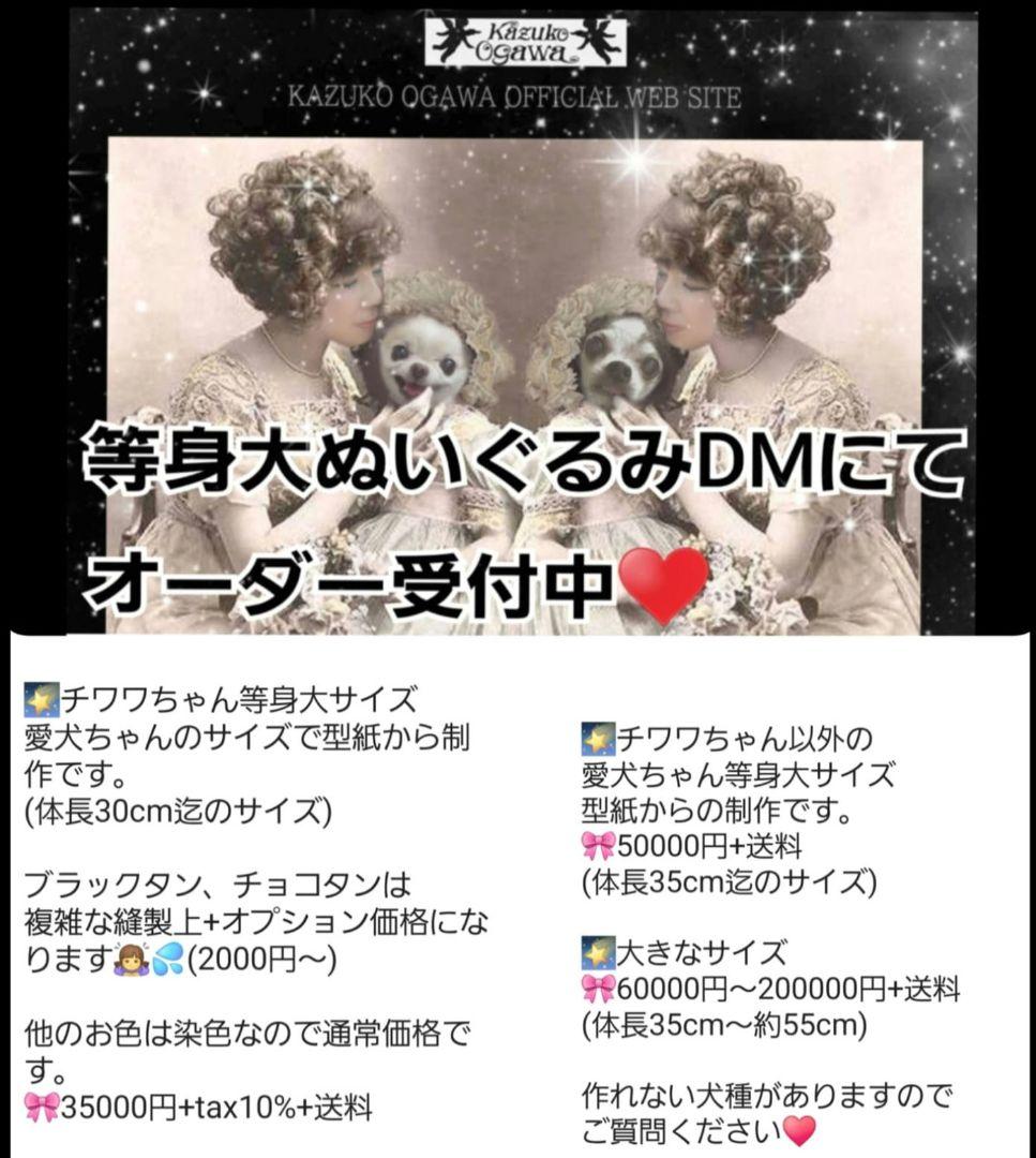 うちの子オーダー受付中♥️ チワワ　リアル　実物大　ぬいぐるみ　カズコオガワ