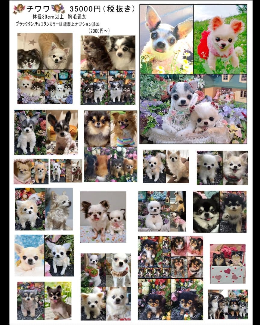 うちの子オーダー受付中♥️ チワワ　リアル　実物大　ぬいぐるみ　カズコオガワ