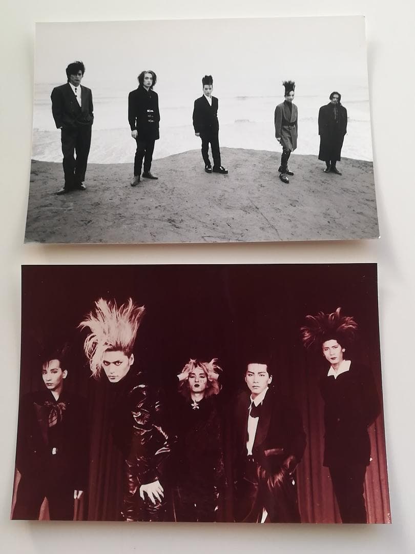 ◆BUCK-TICK バクチク 櫻井敦司 生写真c◆