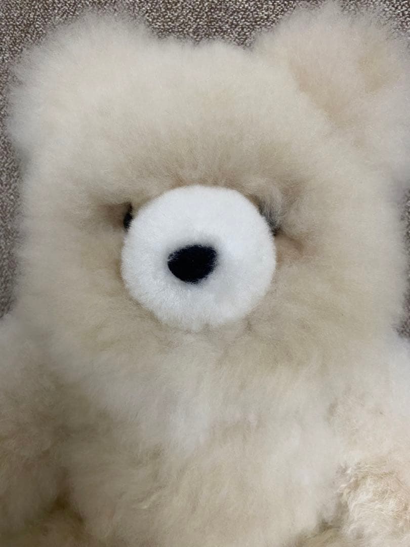 ベビーアルパカ毛　テディベア　大きいサイズ