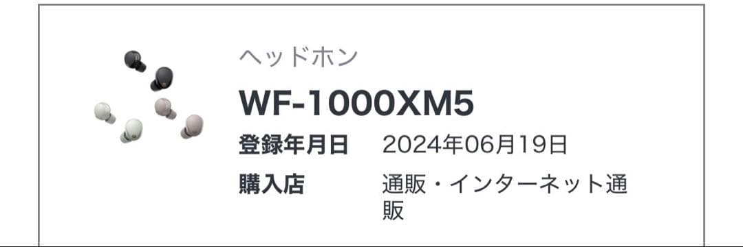 SONY ワイヤレスイヤホン　WF-1000XM5