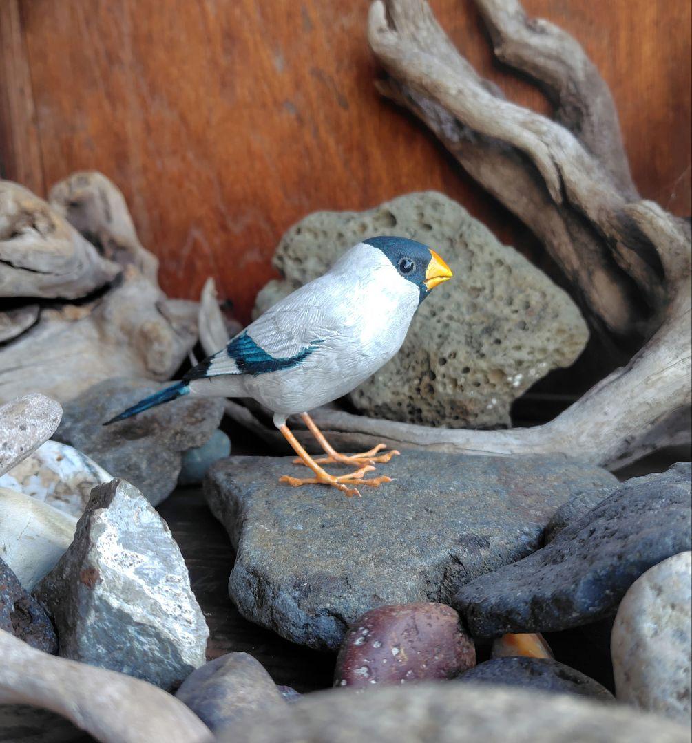 小さなバードカービング イカル 野鳥 木彫 鳥