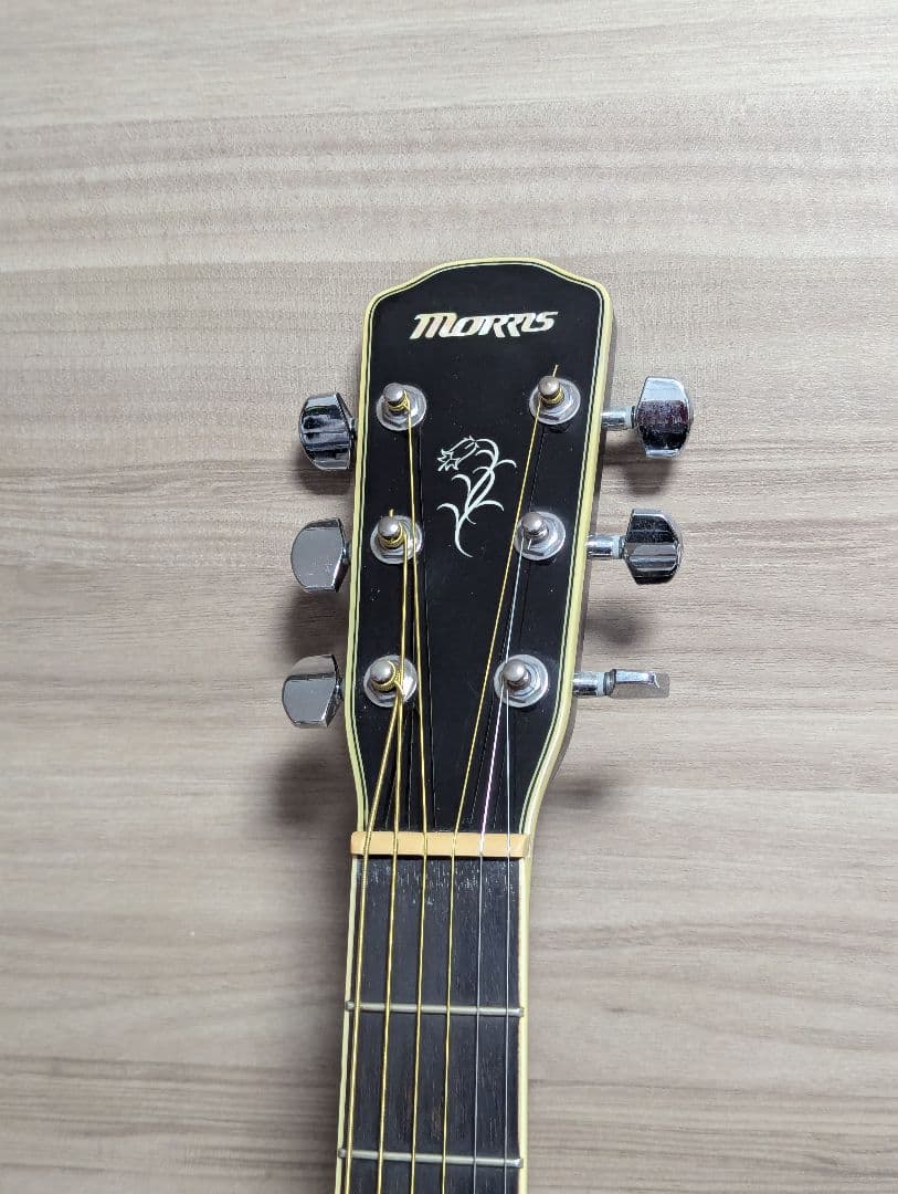 Morris F-12 IIトップ単板 2000年代後半製 ブラック