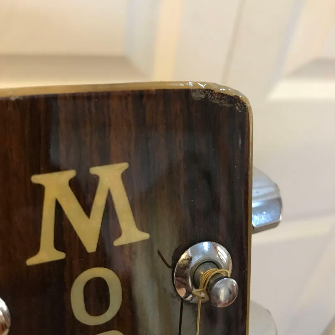 MORRIS アコースティックギター