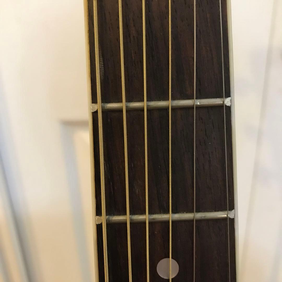 MORRIS アコースティックギター