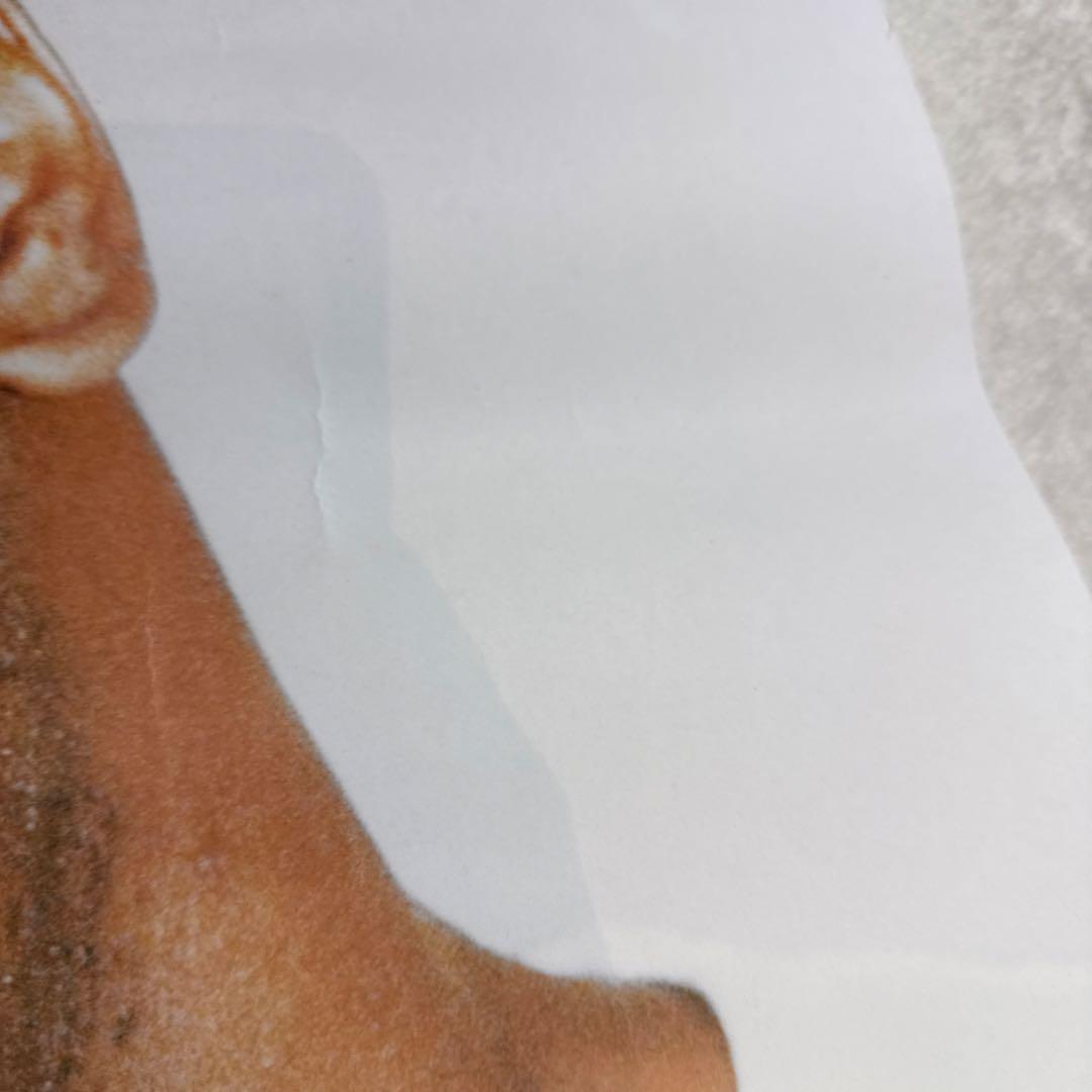 AW07 Supreme × Mike Tyson ポスター中古　正規品