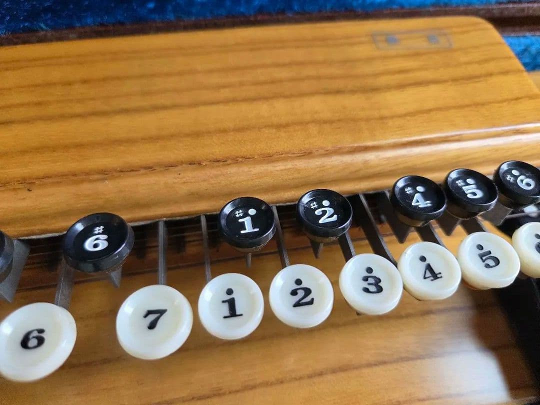 琴伝流　木製 大正琴　敷島 ハードケース付き