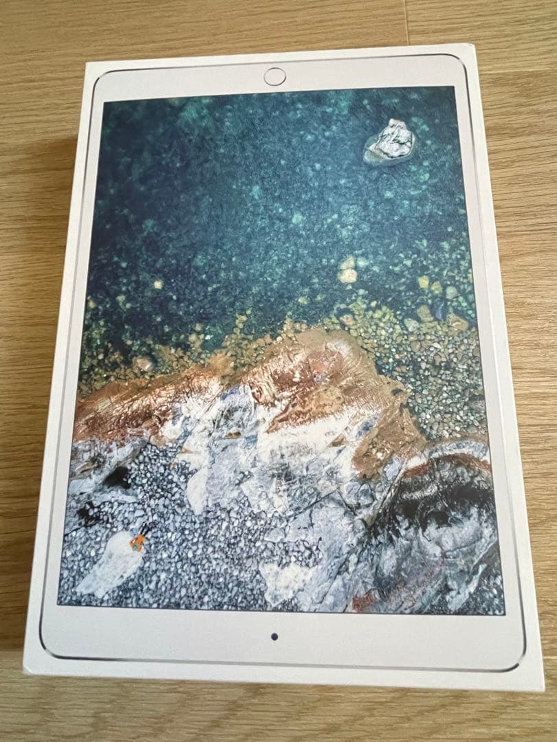 iPad本体 Apple iPad PRO Wi-Fi 64GB A1707 MQDW2J/A