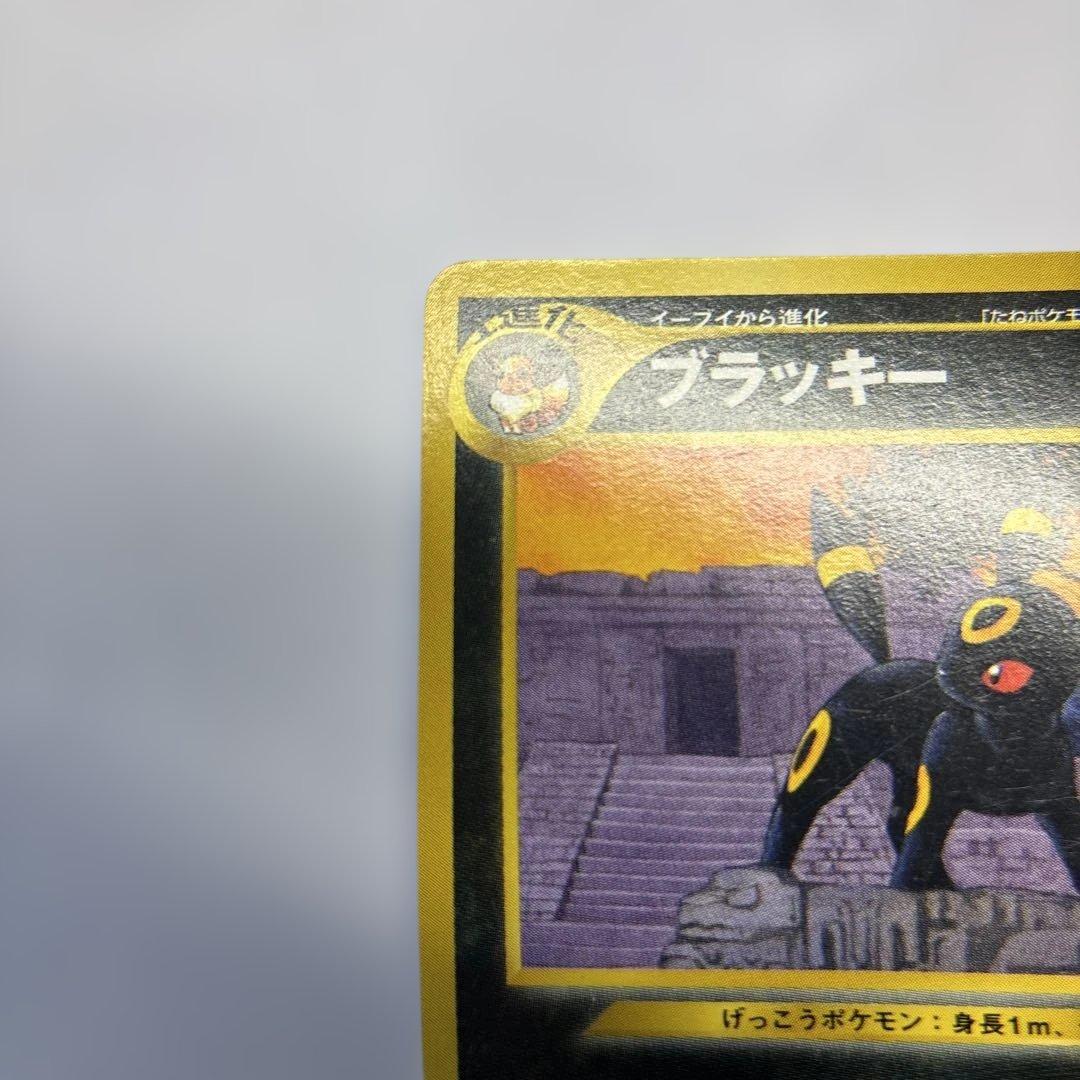 ポケモンカード　旧裏　ブラッキー　プレミアムファイル2