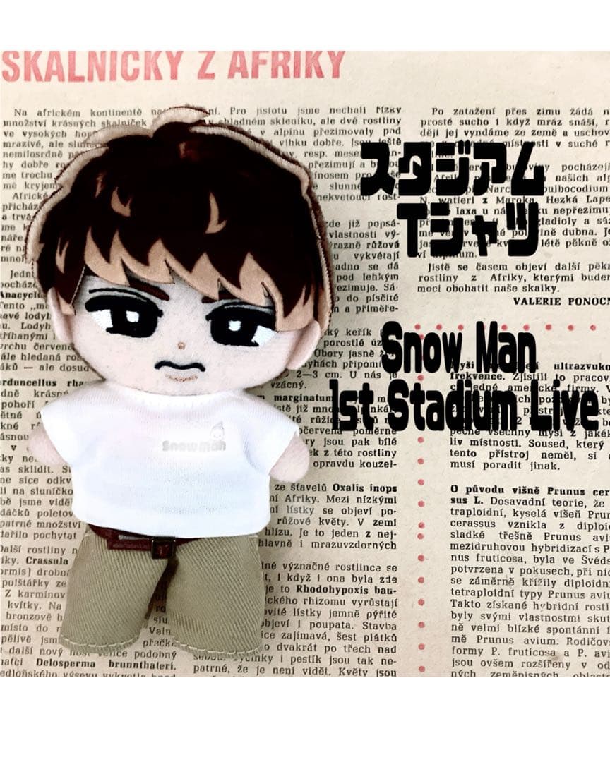 マガリンページ