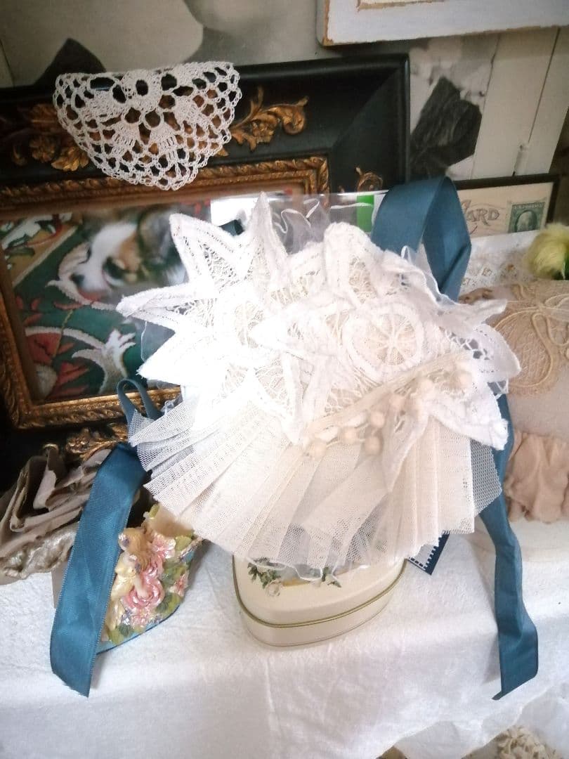 里親様募集(ΦωΦ)❣❣エキゾチックショートヘアー♥(ΦωΦ)(ΦωΦ)