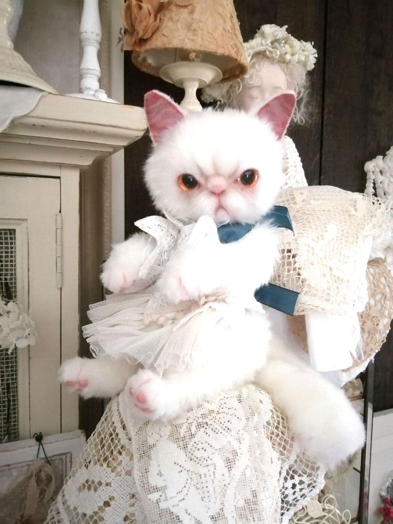 里親様募集(ΦωΦ)❣❣エキゾチックショートヘアー♥(ΦωΦ)(ΦωΦ)