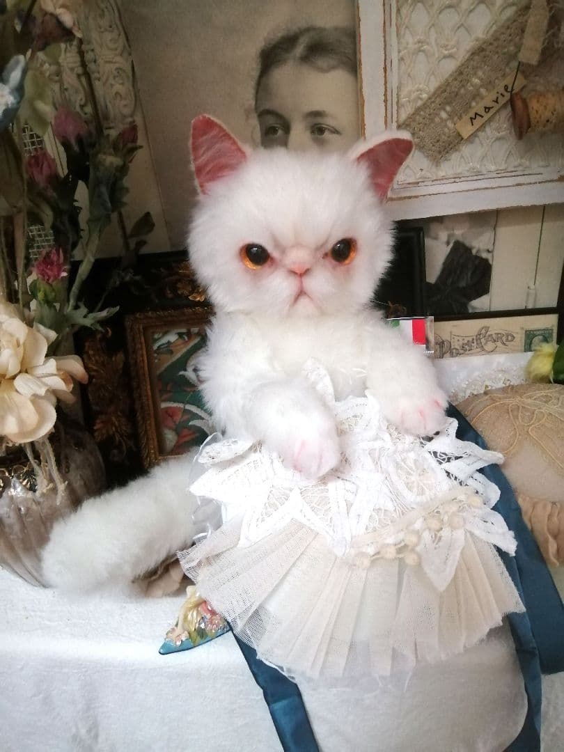 里親様募集(ΦωΦ)❣❣エキゾチックショートヘアー♥(ΦωΦ)(ΦωΦ)