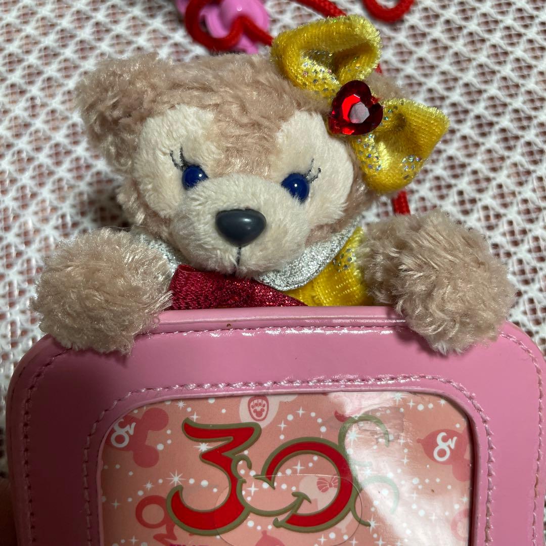 ディズニーリゾート　パスケース