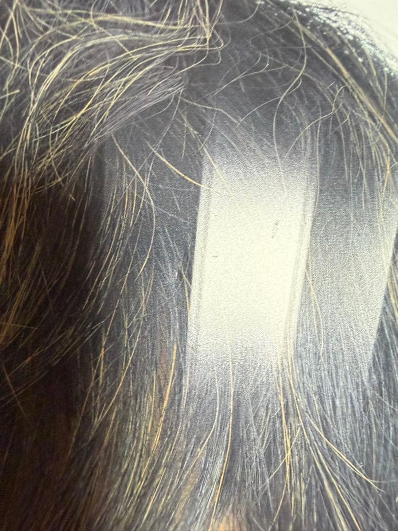 King&Prince STARRING ペンライト 永瀬廉うちわセット