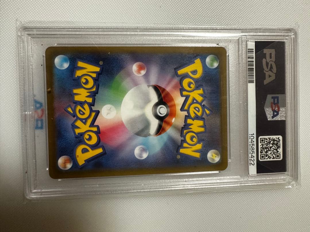 テールナー　chr psa10