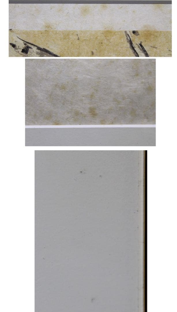 ダリ（Dali） ドンキホーテ（鳥）リトグラフ 直筆サイン エディション有り