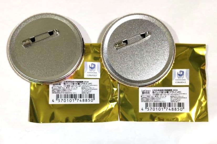 御坂美琴 とある自治体の地域振興 2024 缶バッジ 2点セット