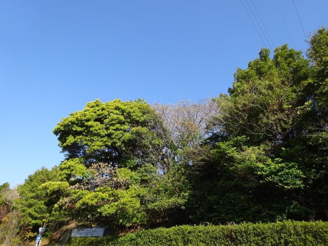 動作品 カメラ DSC-WX350 デジタル サイバーショット ソニー Sony