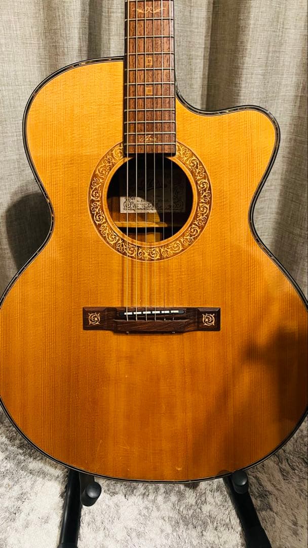 Aria sand piper deluxe 上位機種　廃盤　エレアコ