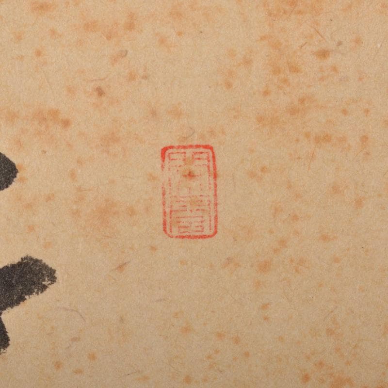 掛軸　紫野　前田昌道筆　一行書　「五月晴」　自画賛　共箱　C　5926A