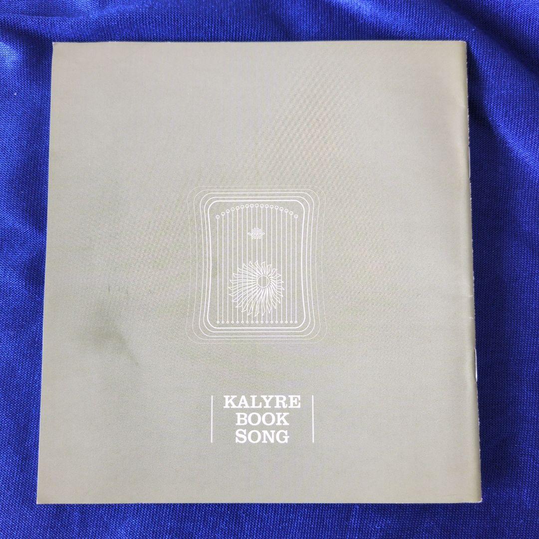 Hluru Kalyre ハーピカ・木製 31弦セット