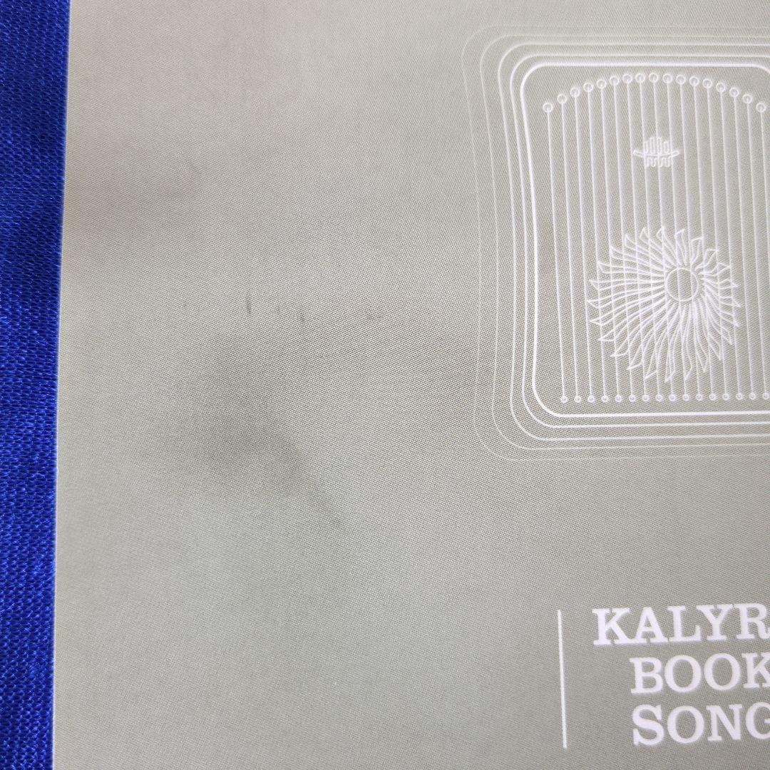 Hluru Kalyre ハーピカ・木製 31弦セット