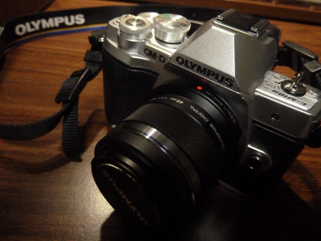 Panasonic DMC-TZ10 LUMIX ブラック 【動作確認済み】