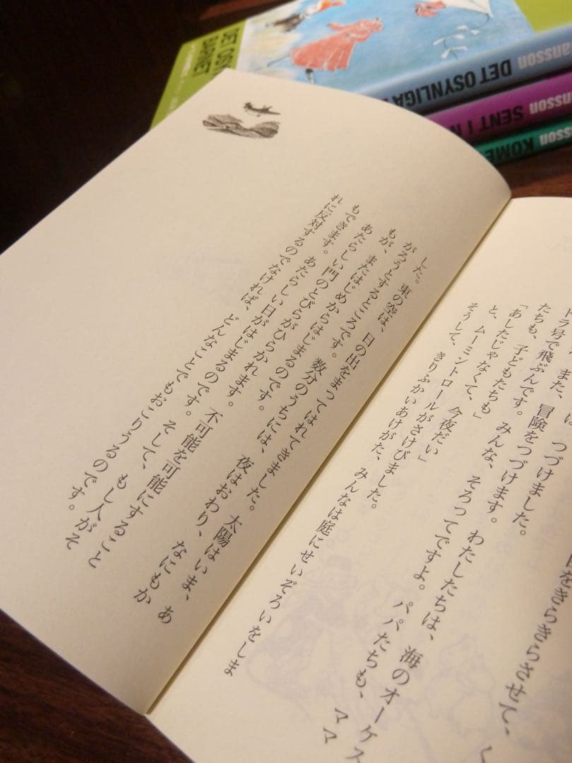 Panasonic DMC-TZ10 LUMIX ブラック 【動作確認済み】