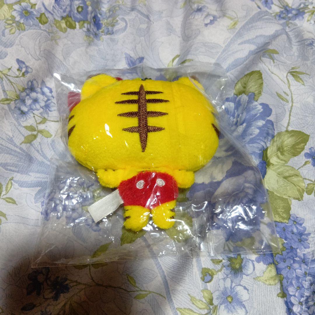 増田貴久　ネコます　まとめ売り