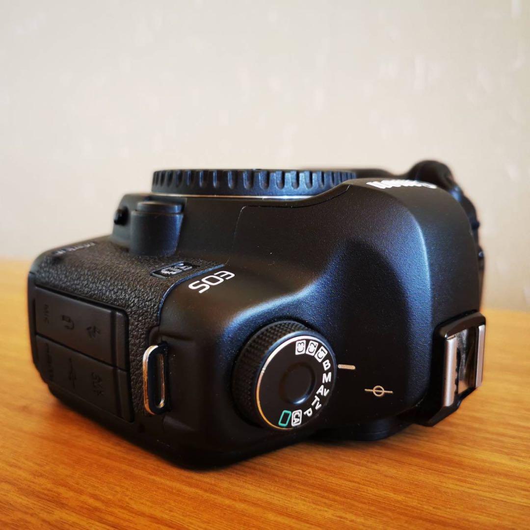 Canon EOS 5D Mark II （中古）充電器無し