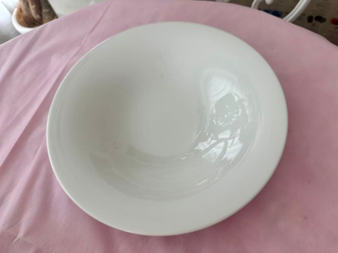 KANESUZU 日本製　お皿28cm 10枚セット