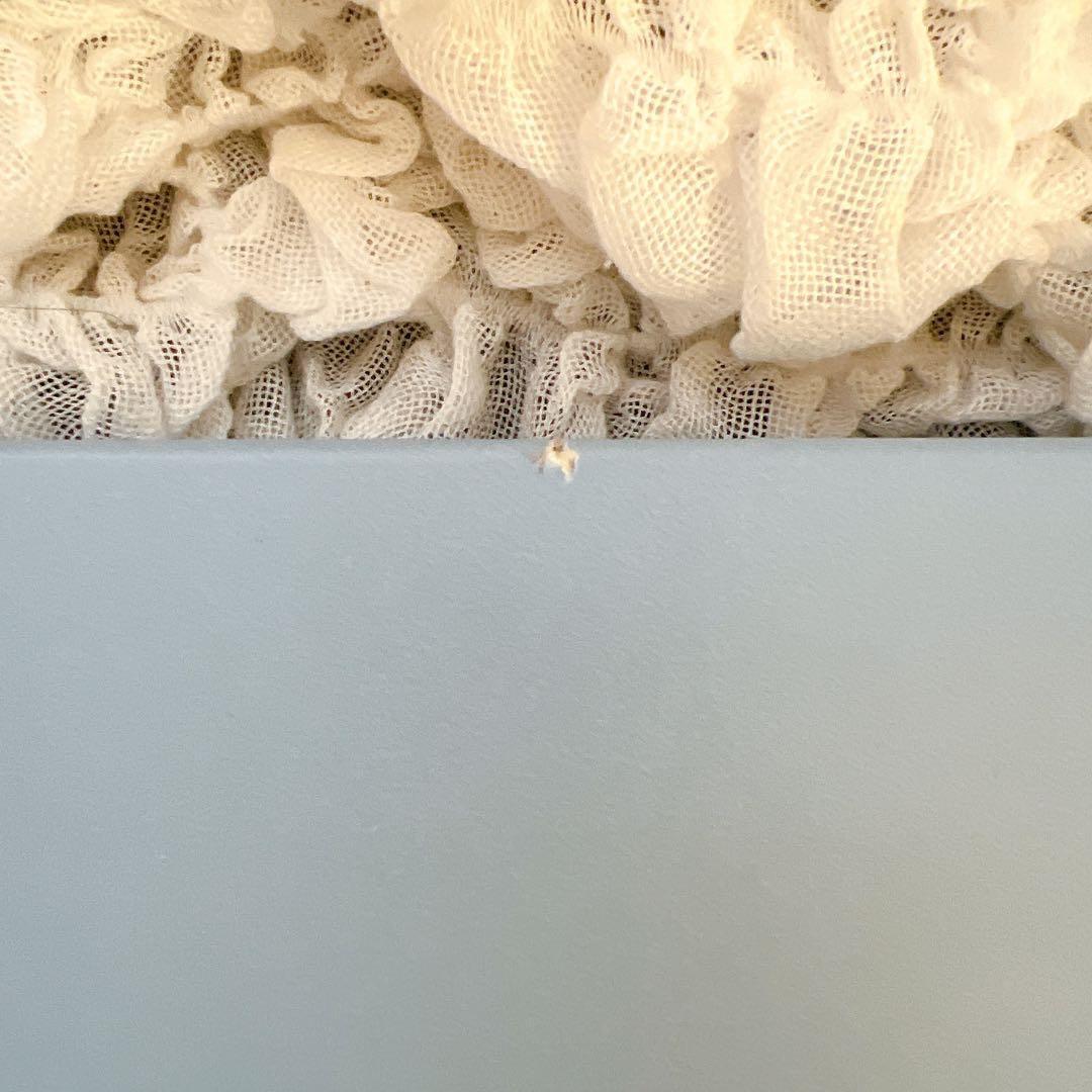 【新品】ウェッジウッド 黒壺 カントリーウェア キャベツ クレセント皿 ２枚