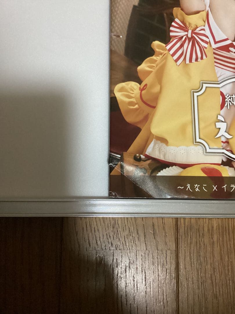C101 えなこりんセット　えなこ　コスプレ　えなこみゅ コミケ101 写真集