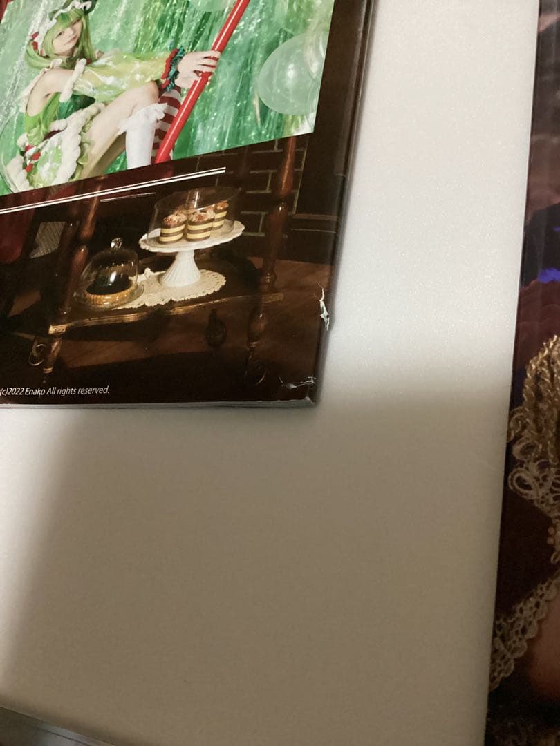 C101 えなこりんセット　えなこ　コスプレ　えなこみゅ コミケ101 写真集