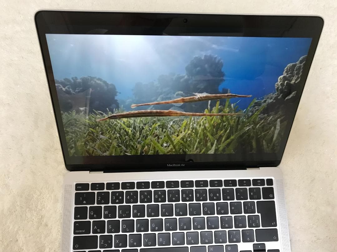 Apple MacBook Air M1（8GB / 256GB）美品