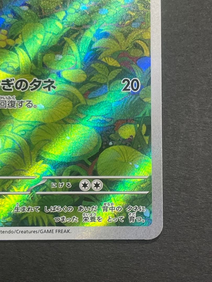 ポケカ　フシギダネ　スペシャルデッキ　ar 151