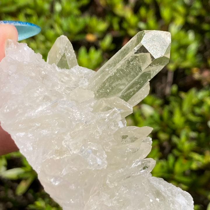 非加熱 天然無処理 シトリン 黄水晶 クラスター 原石 虹