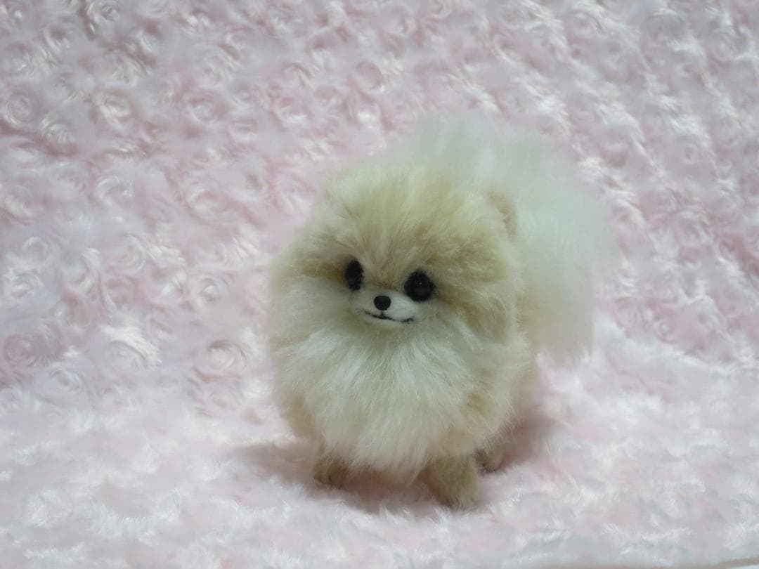 羊毛フェルト 犬 ポメラニアン クリーム ホワイト ハンドメイド 置物