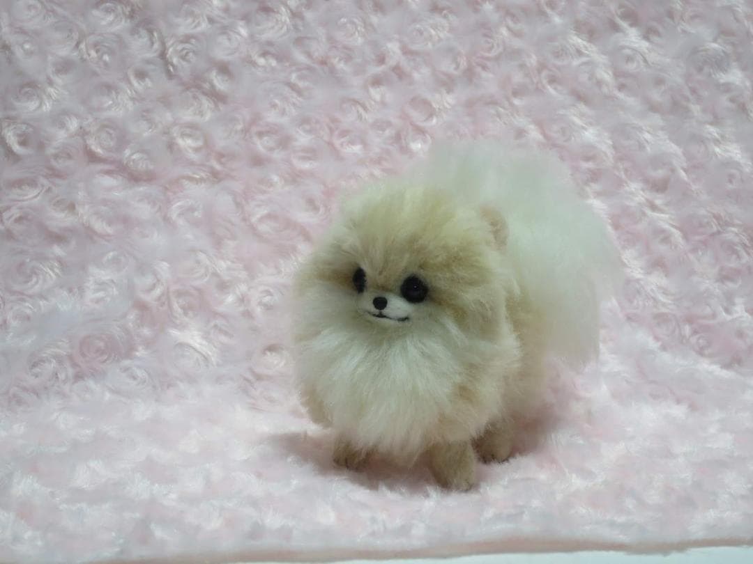 羊毛フェルト 犬 ポメラニアン クリーム ホワイト ハンドメイド 置物