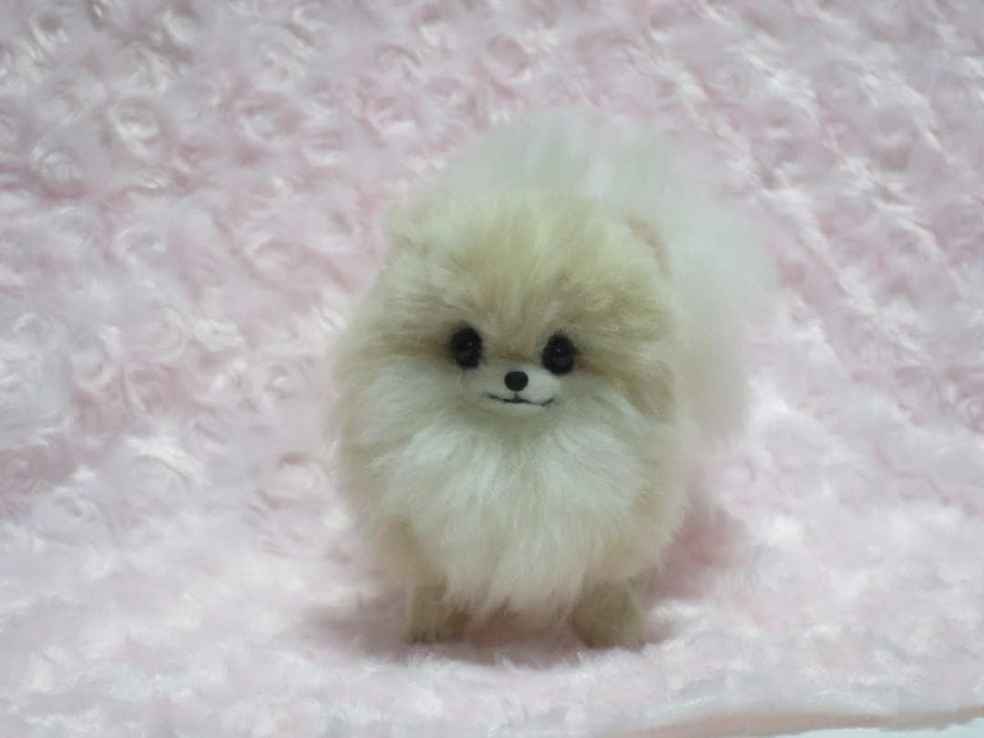 羊毛フェルト 犬 ポメラニアン クリーム ホワイト ハンドメイド 置物