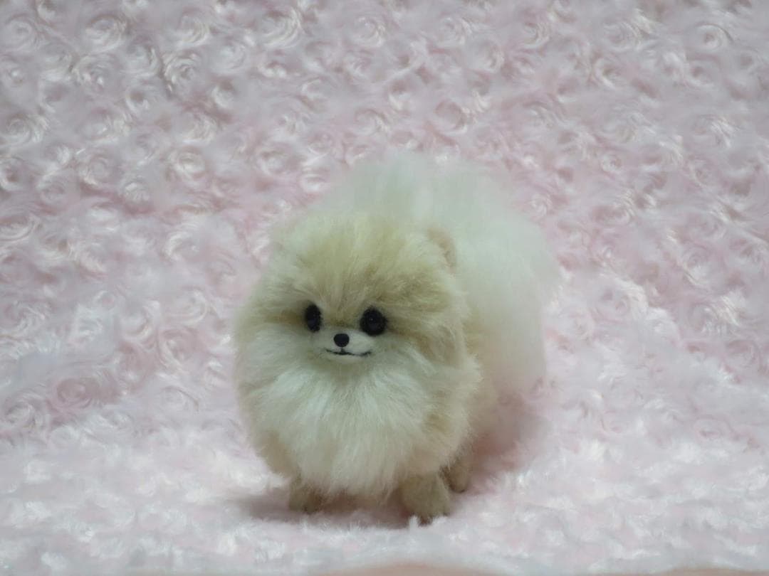羊毛フェルト 犬 ポメラニアン クリーム ホワイト ハンドメイド 置物