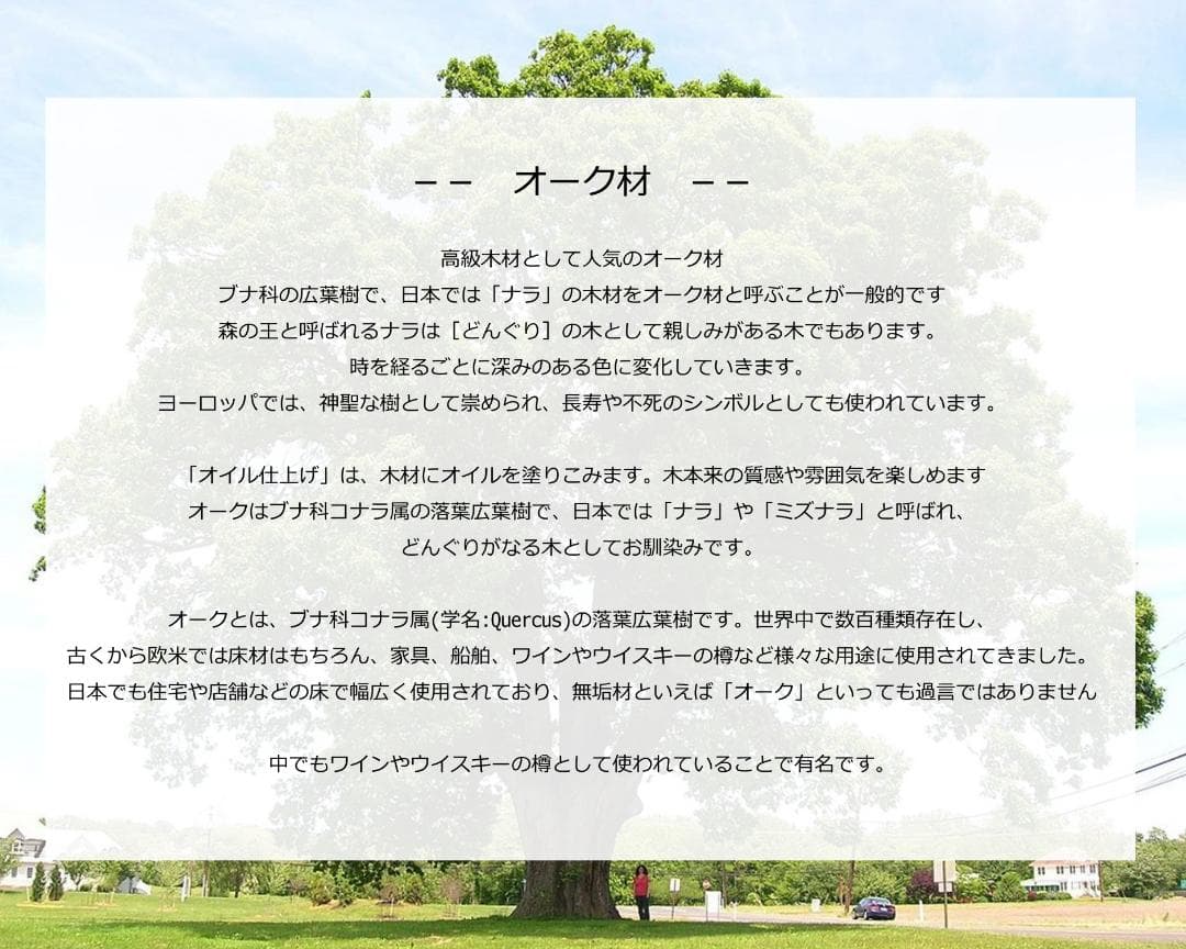 木軸シャープペンシル　PG-オーク  T-１B（一般色）■製図用先端改短切