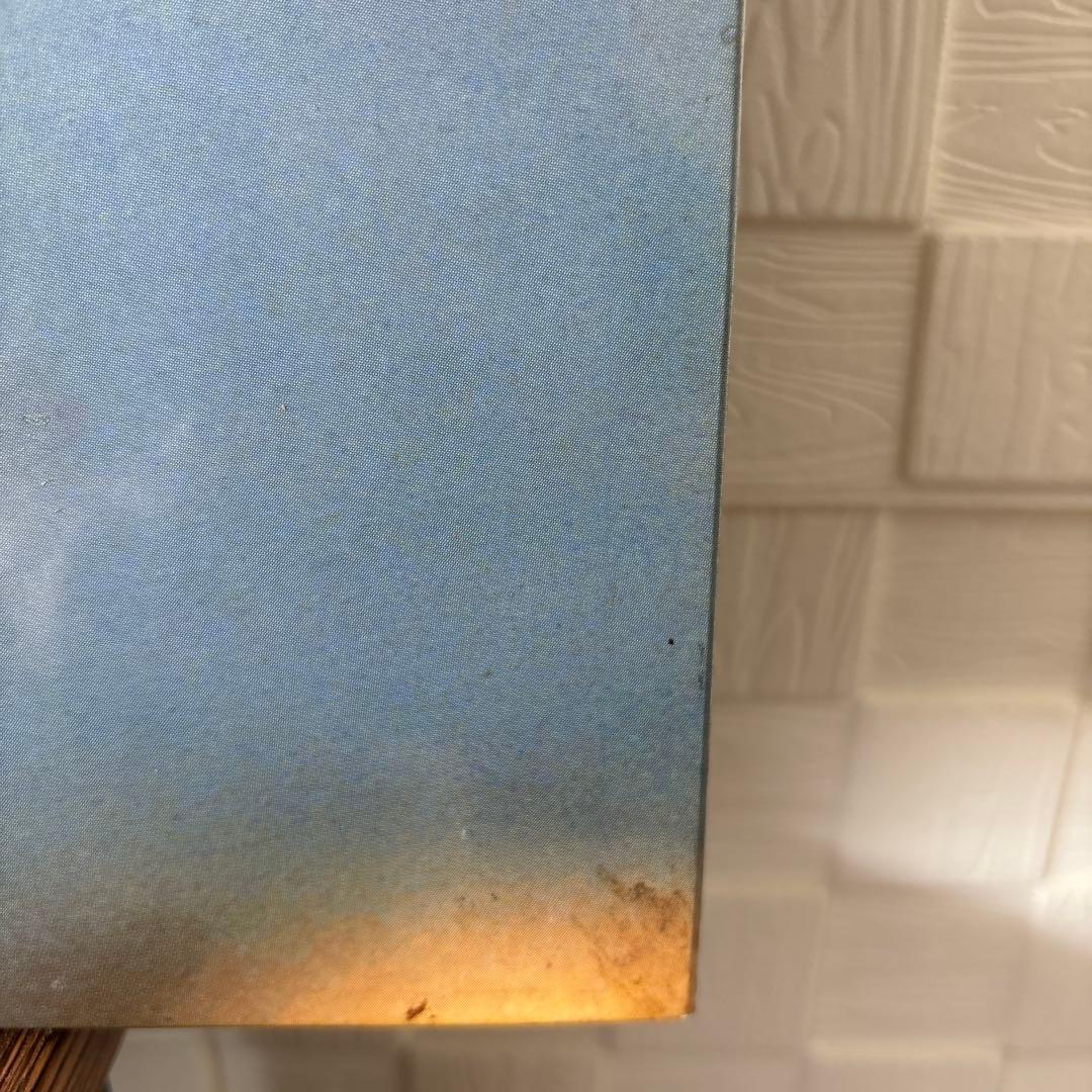 アイルトン・セナ　ビッグパネル