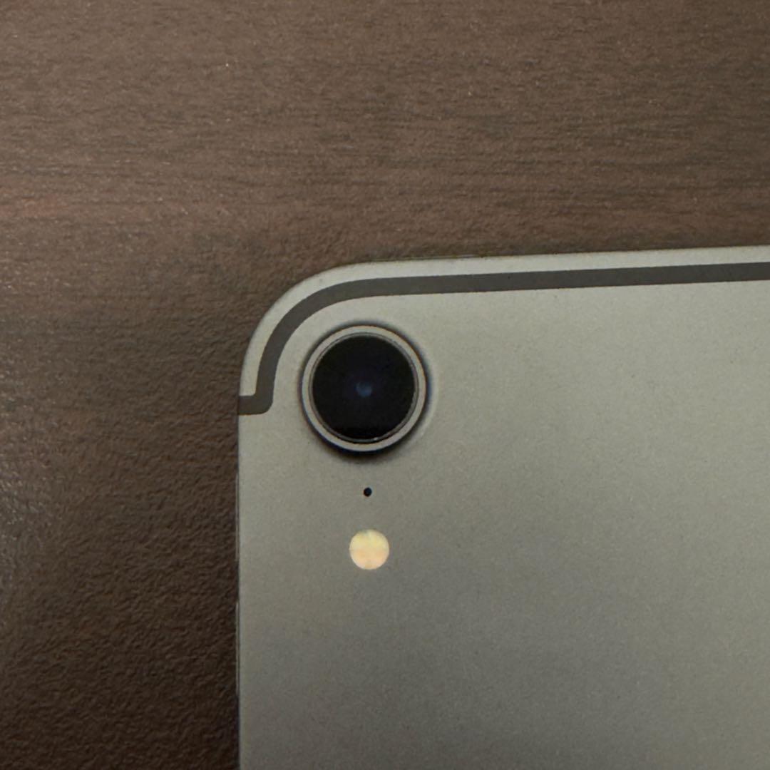 iPad Pro 11 第1世代 スペースグレー 256GB wifi+セルラー
