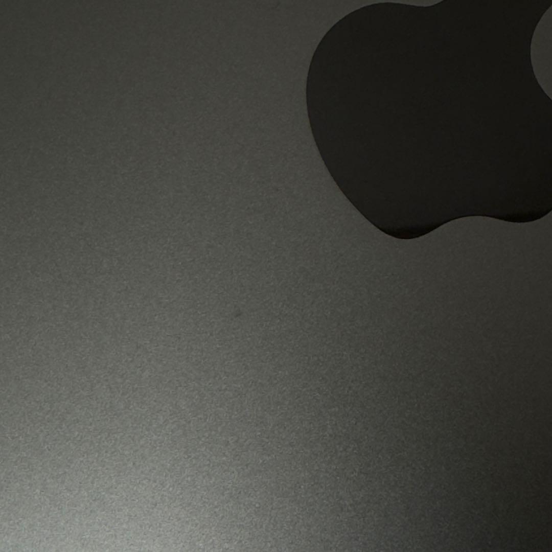 iPad Pro 11 第1世代 スペースグレー 256GB wifi+セルラー